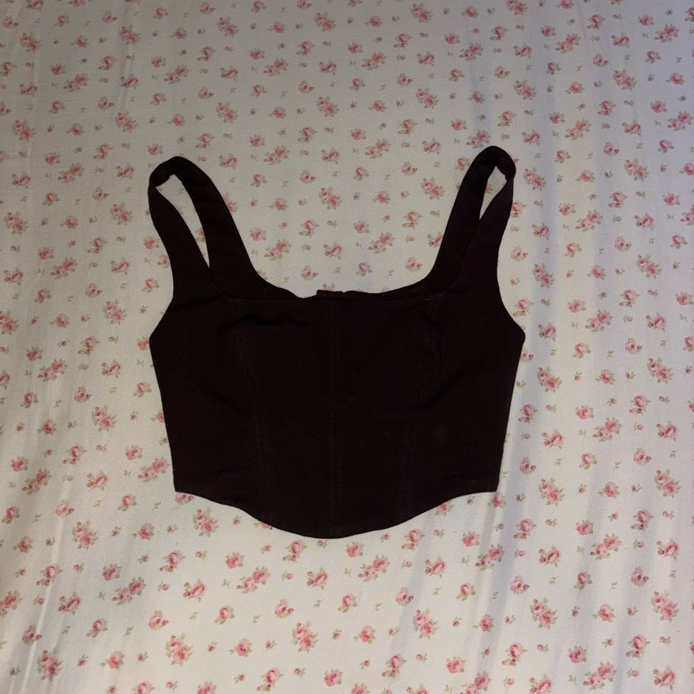 Babaton by Aritzia Brown Bustier Top